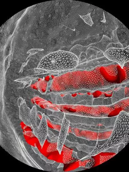 Conférence immersive : bio-fabriquer le vivant